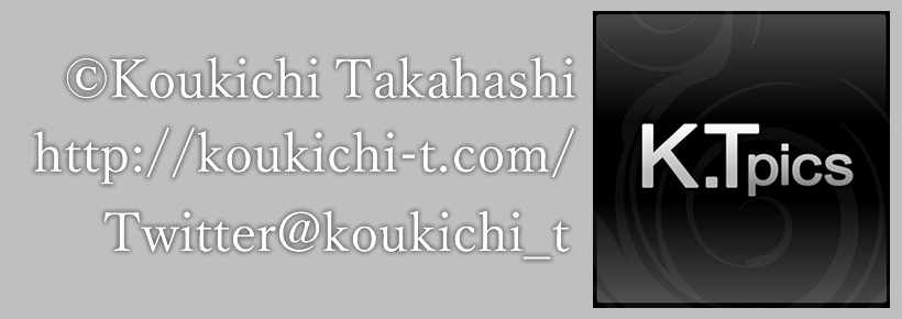 名称未設定 1 Fw Koukichi Takahashi Photography