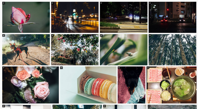 I started selling 7 new stock photos on Getty images(x EyeEm)!Bud,Blurry cityscape,Dog,Flowers,Frog