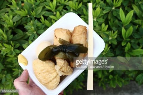 My sold photograph on Getty images that was published for “Goya Chanpuru Recipe” on the spruce!