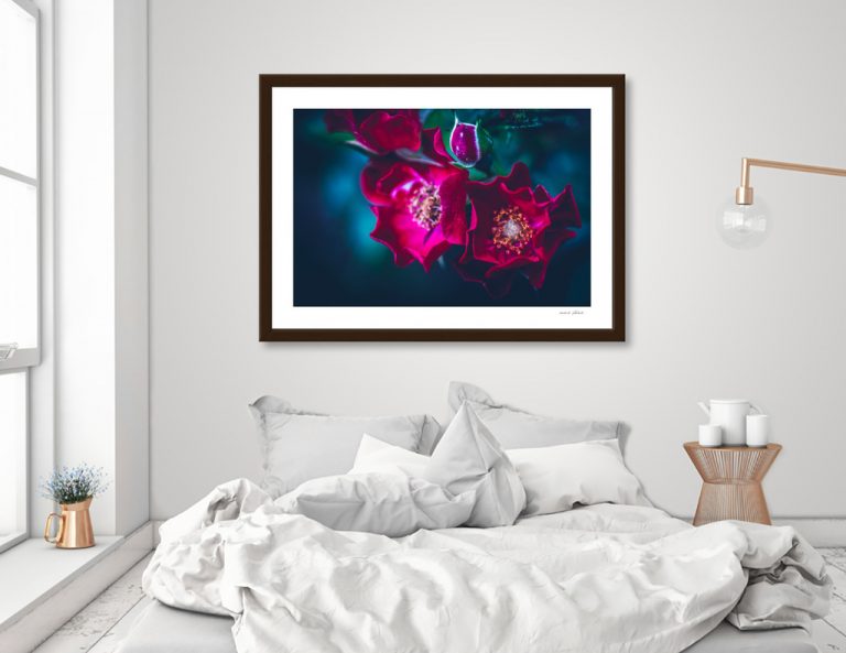 Art prints/Wall prints site:Crated closed... I started to sell on Curioos!Check this out!海外向けアートプリントサイトCratedが閉鎖…代わりにCurioosを利用開始しました。