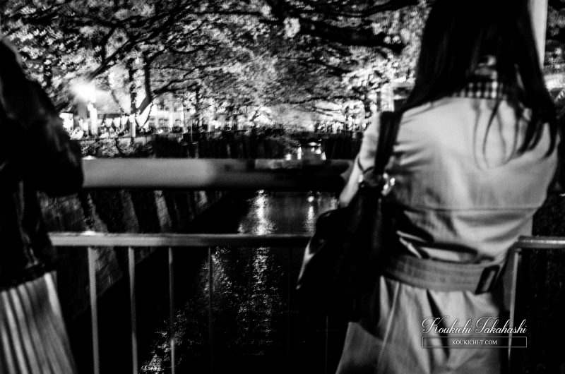 モノクロ 女性の後ろ姿 中目黒 目黒川