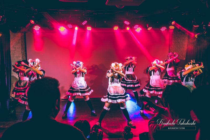 Live of Virtual Curreny Girls Photography and Video!I attended Kasotsuka shojo live as media