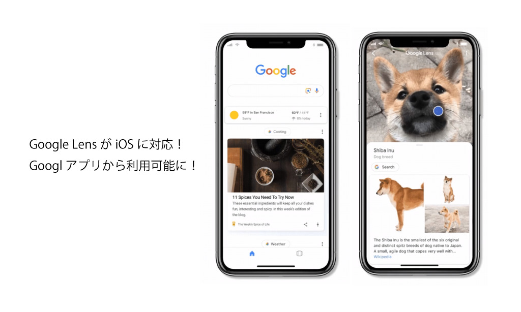 グーグルレンズがiOS Googleアプリで使用可能に！試しに使ってみた。Googleレンズアプリ最新情報2018