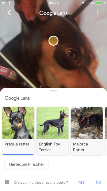 Google Lens now avairable on iOS of Google app!Google/Apps latest news 2018