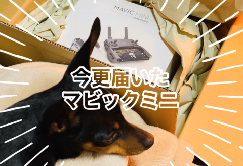 今更届いたmavic Miniフライモアコンボ 続 マビックミニは届かない Djiドローン買ったのだが 一応レビュー予定 たぶん Koukichi T