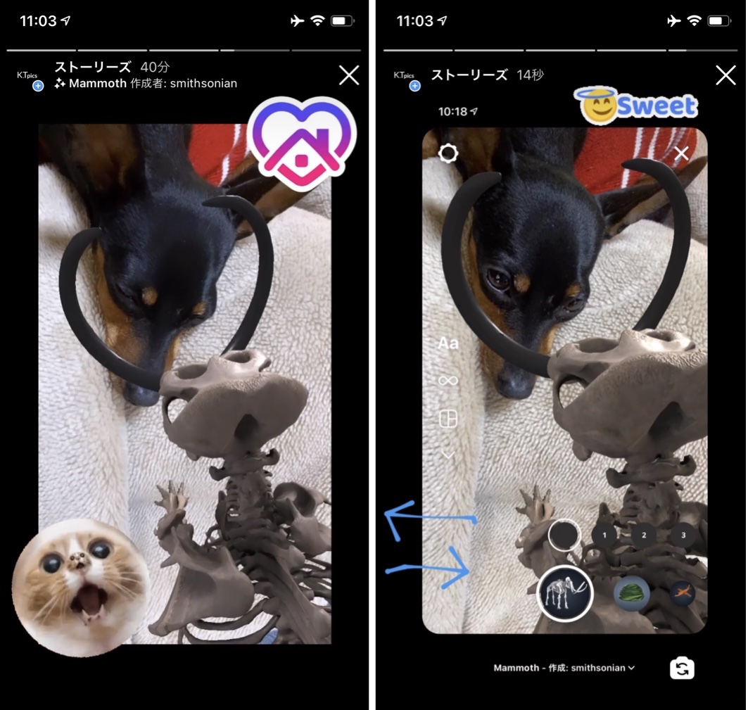 Instagram rolled out online exhibits of the Smithsonian with AR effects.Instagram latest news Dc 2020