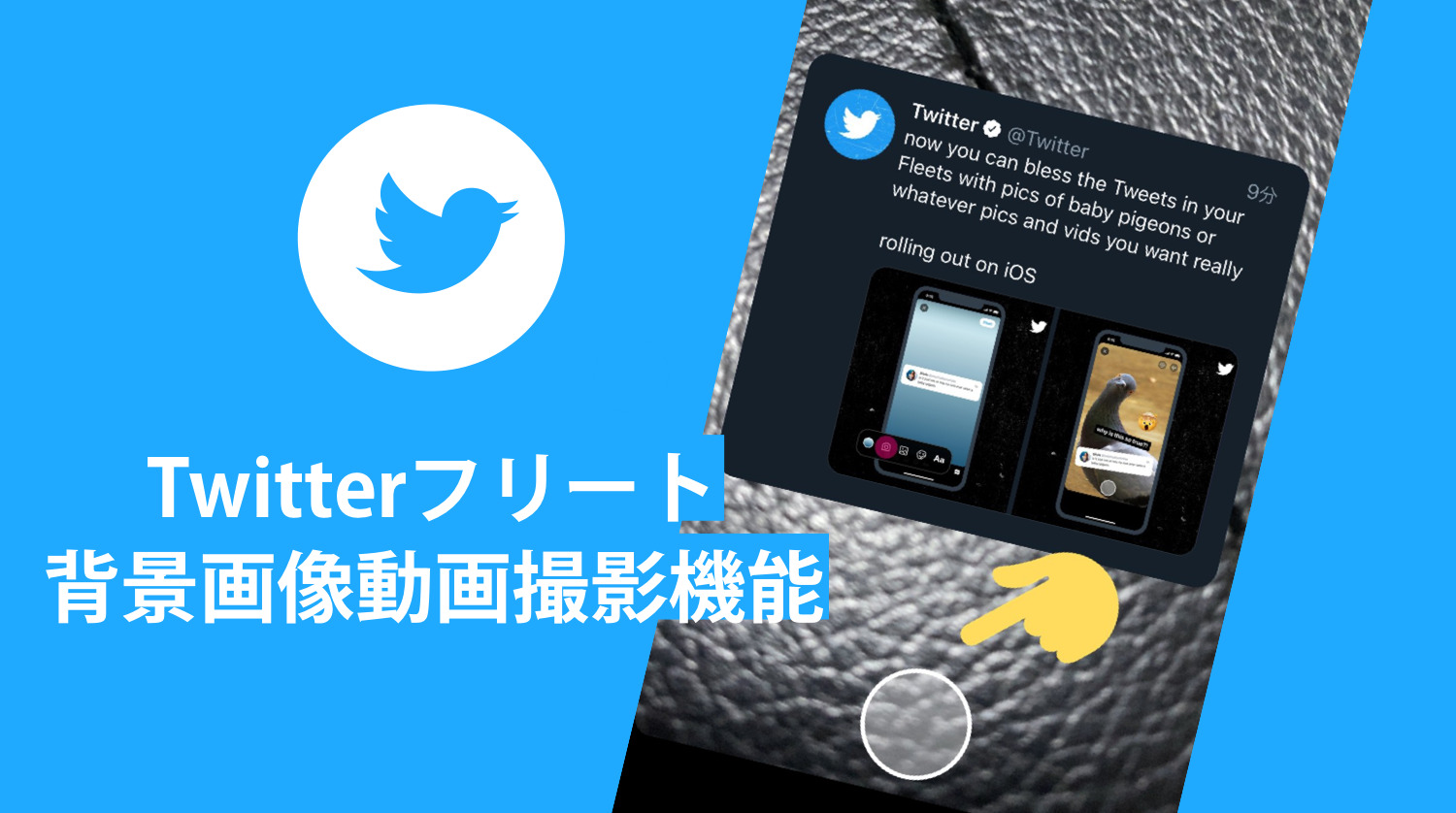 ツイートをtwitterフリートにシェアする際に 写真と動画の撮影 が可能に 背景として設定可能 Twitter新機能 アップデート21年4月 Koukichi T