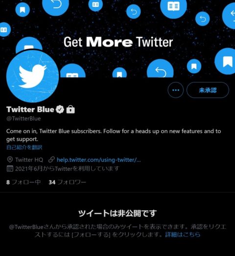 Twitter Blue サブスク/有料機能公開！最大60秒送信取り消し/ブクマフォルダ分け/専用カスタマサポート。ツイッター新機能/アップデート最新ニュース 2021年6月